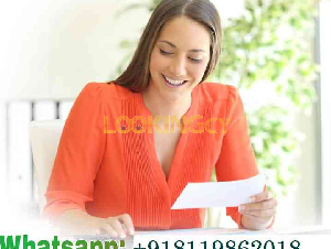 GLOBAL LOAN AND FINANCIER LOANS - LOANS AVAILABLE