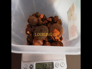 Buy Cow /Ox Gallstone Available On Stock Now @ (WhatsApp: +237673528224)